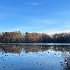 Gregory’s Pond