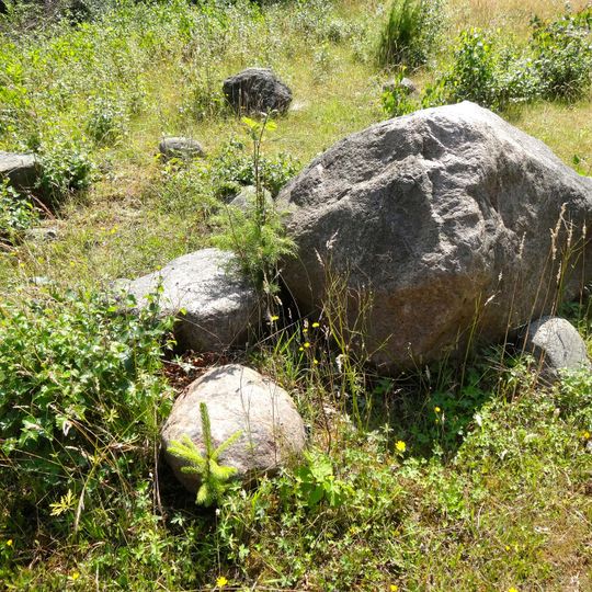 Van der Lijn-reservaat