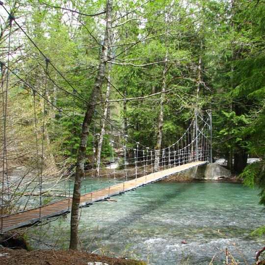 Grove of the Patriarchs