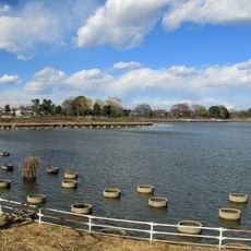 弦代公園