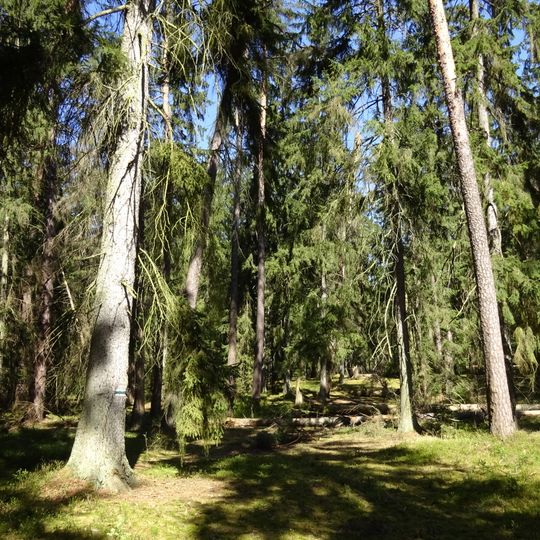 Nature reserve Czarnia