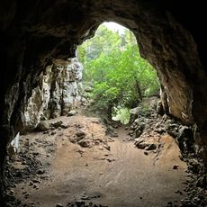 Cova dels Coloms