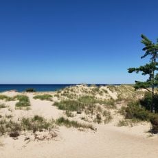 Nordhouse Dunes Wilderness
