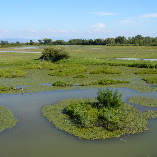 Riserva naturale regionale della Foce dell'Isonzo