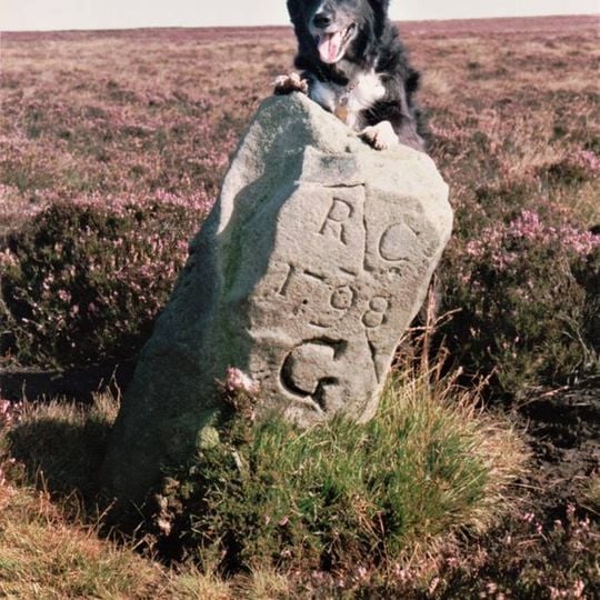 Boundary Stone, Circa 990 Metres North East Of Skelderskew Farmhouse