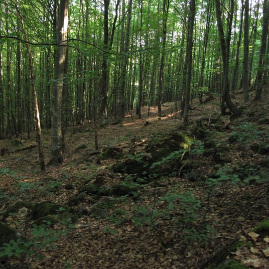 Rezerwat przyrody Zátoňská hora