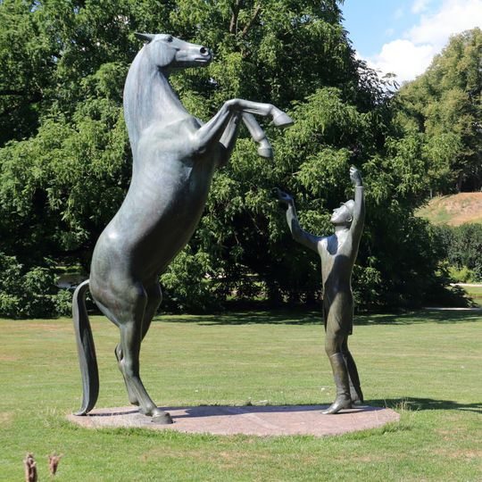 Hengst Wohlklang in der Freiheitsdressur