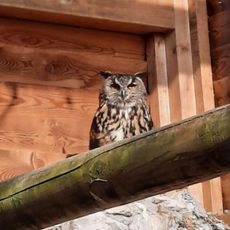 Centro Visite Parco Dolomiti Friulane