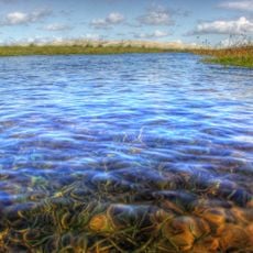 Parrachos de Maracajaú