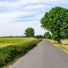 LSG-Orsoyer Rheinbogen und Eversael