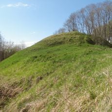 Žuvyčiai Hillfort