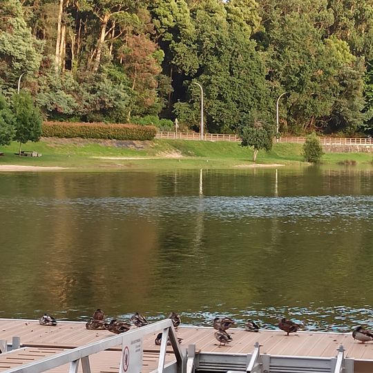 Praia fluvial do Lérez