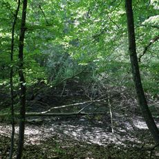 Doline, wassergefüllt u. von Weiden umsäumt Vorderer Wasen