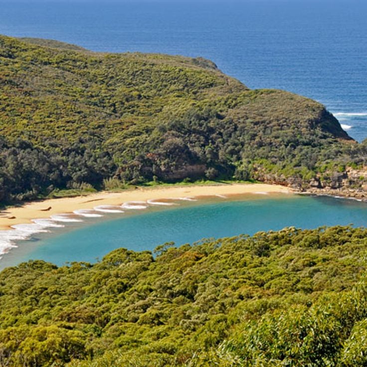 Bouddi nationalpark