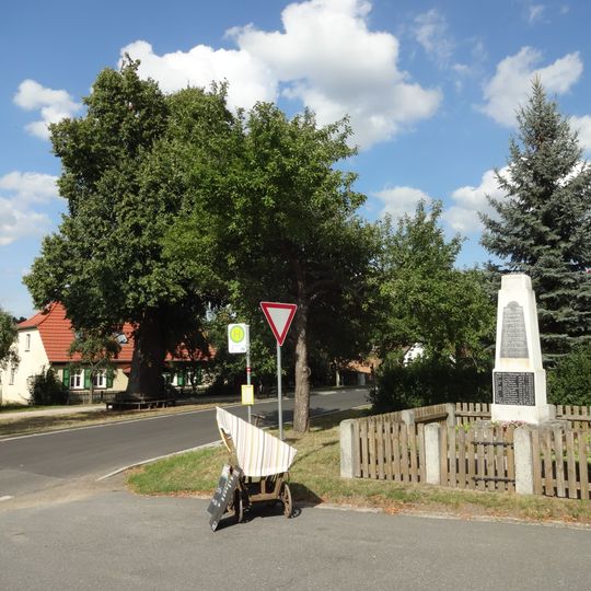 Naturdenkmal Linde nördlich der Kirche; Flur 2, Flurstück 7, 241 in Ließen