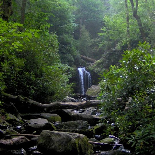 Roaring Fork