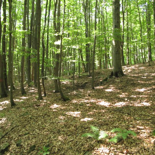 Vysoký kámen u Smrčné