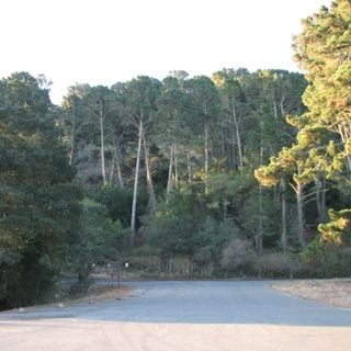 Tilden Regional Park