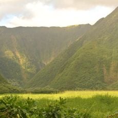 Waimanu Valley