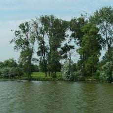 Letea Forest