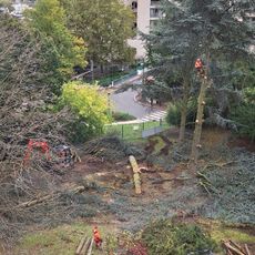 Pont des Trois Pierrots