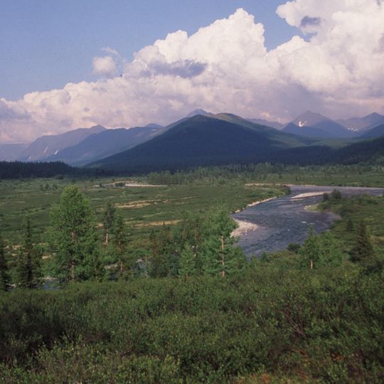 Bosques vírgenes de Komi
