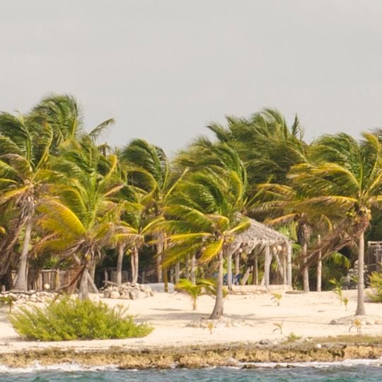 Costa Maya