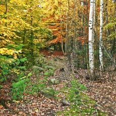 Kounovské kamenné řady