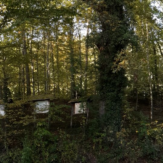 Eichenrain auf der Vorderen Halde