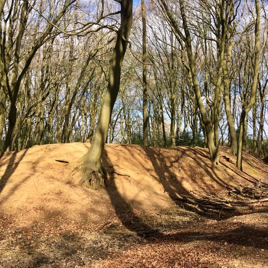 Moated site and enclosures at Redding Wick