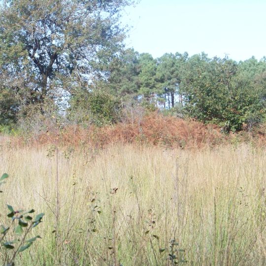 Tertres funéraires d'Arboucave