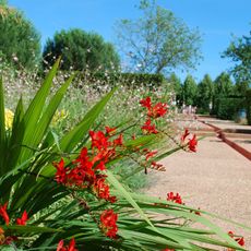 English landscape garden of Collette