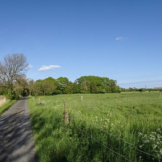 Hohewerther Grashaus