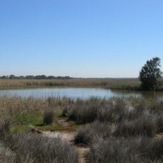 Edithvale-Seaford Wetlands