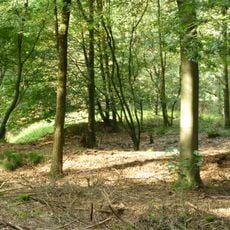 Terrein waarin grafheuvel # 45115