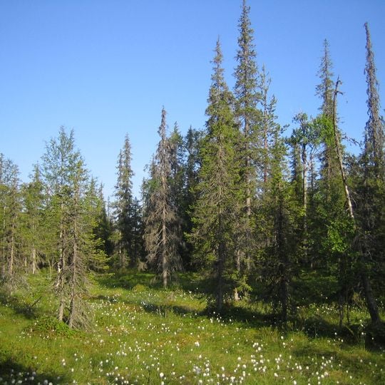Parco nazionale di Syöte