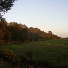 Rockenmoor/Fuchsberg