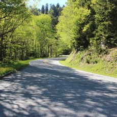 Clingmans Dome Road