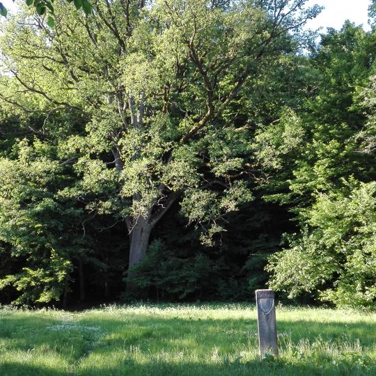 Veiviržėnai hillfort