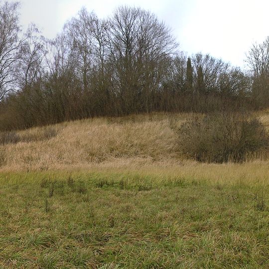 Vaduvos hillfort
