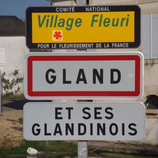 Gland