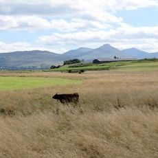 Réserve naturelle régionale des tourbières du Jolan et de la Gazelle