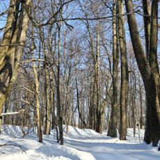 Усадьба Ильиных (с парком) (Давыдовское)