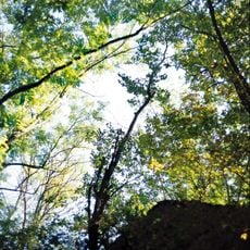 Velyka Zapadnia Reserve