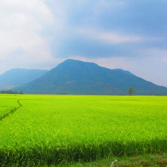 Provincia di An Giang