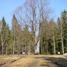 Rondell (Kaiserhammer)