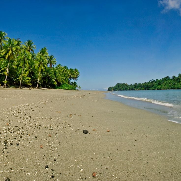 Isla Gorgona