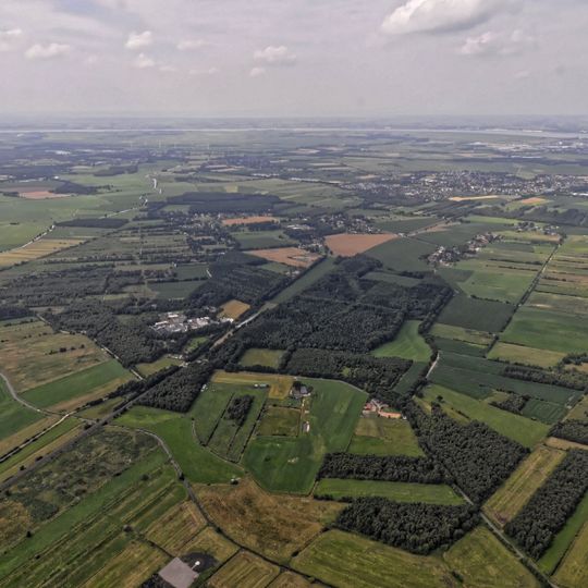 Interessentenforst südöstlich Düring