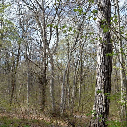 Herrenberg und Vorberg im Huy