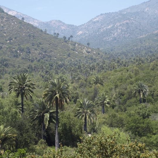 La Campana National Park
